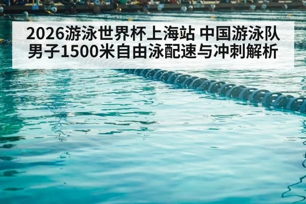 2026游泳世界杯上海站 中国游泳队男子1500米自由泳配速与冲刺解析